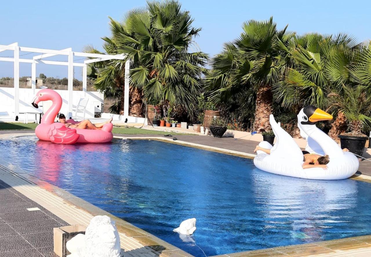The Pervoli Studio - Pool - Close To Beach Larnaca Bagian luar foto
